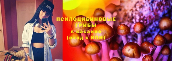 прущая мука Елабуга