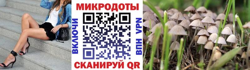 Галлюциногенные грибы GOLDEN TEACHER  гидра ССЫЛКА  Закаменск 